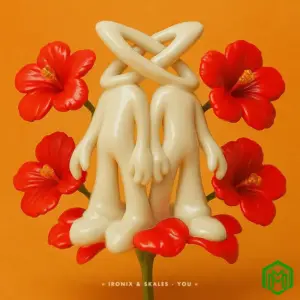 The Ironix – You ft. Skales