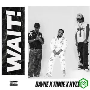 Dawie – Wait ft. Hyce, Tiimie