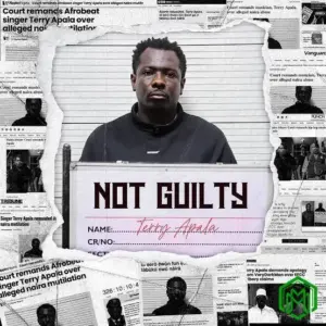 Terry Apala – Grace In Disguise